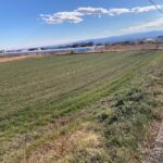 時沢売地 画像1 時沢売地 画像1