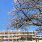 天川小学校 (周辺)