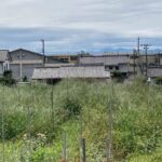 日当たり良好 (外観)